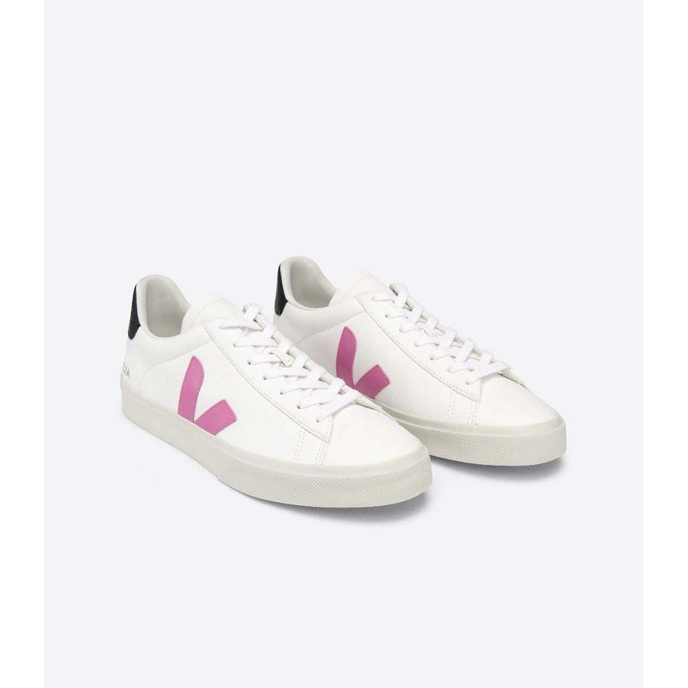 Veja CAMPO CHROMEFREE Low Tops Sneakers Damske White/Purple | SK 597FDN